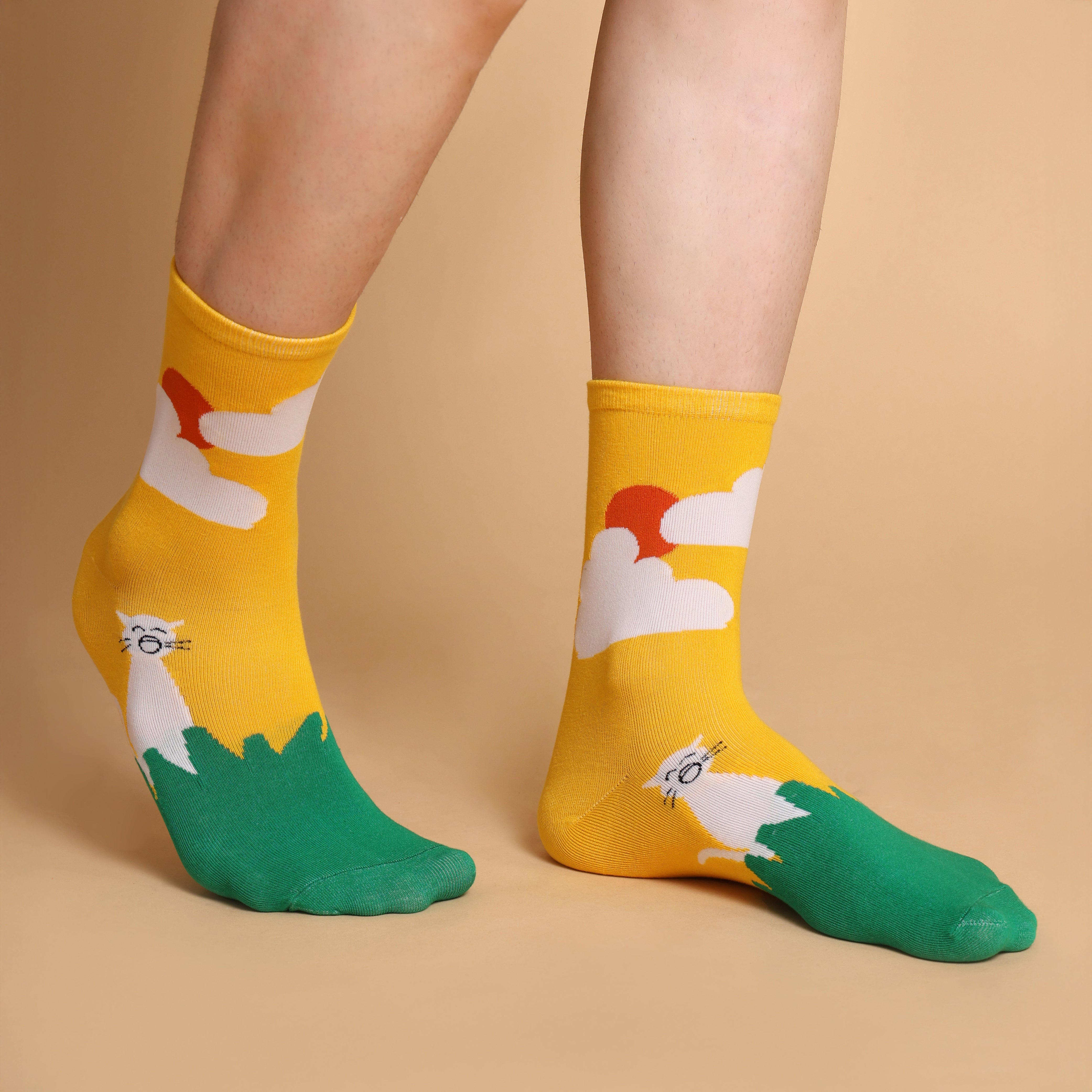 Wake, Lounge & Dream! (Pack of 3)