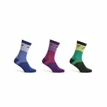 Ready, Set, Tri! (Pack of 3)